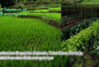 Pertanian Organik : Sejarah, Tata Cara, Prinsip, Kelebihan dan Kekurangannya