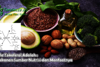 Alfa Tokoferol Adalah : Makanan Sumber Nutrisi dan Manfaatnya