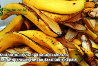 Manfaat Kulit Pisang Untuk Kesehatan dari Anti Jerawat Hingga Atasi Sakit Kepala